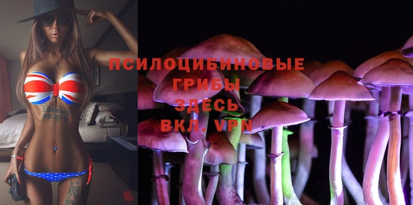 не бодяженный Семёнов
